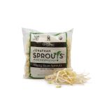 Organic Mung Bean Sprouts