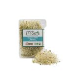 Organic Alfalfa Sprouts