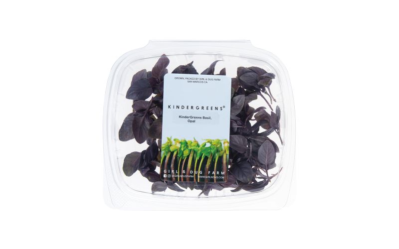 KinderGreens® Opal Basil