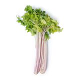Rose Celery