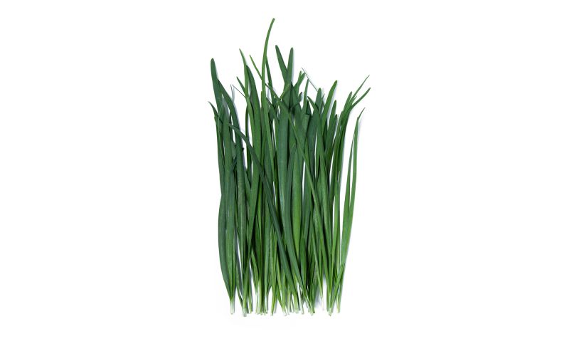 Garlic Chives
