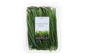 Garlic Chives
