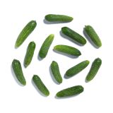 Cornichon Cucumbers