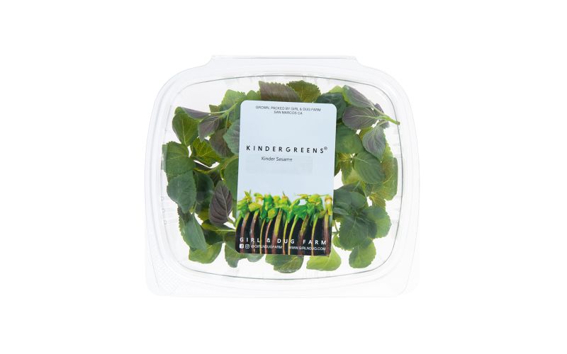 KinderGreens® Sesame Leaves