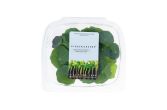 KinderGreens® Classic Nasturtium Leaf
