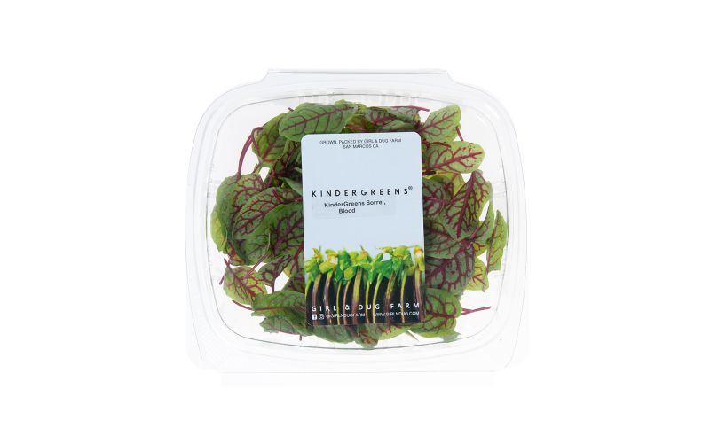 KinderGreens® Blood Sorrel