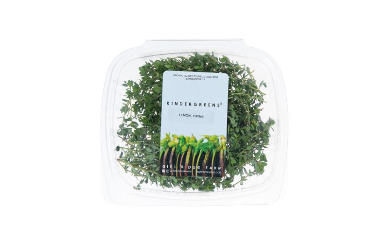 Lemon Thyme