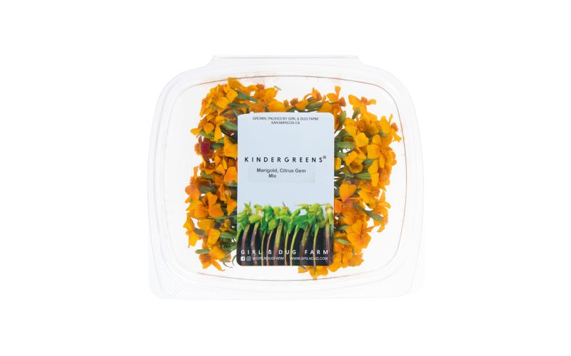 Citrus Gem Marigold Flowers