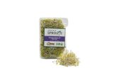 Organic Broccoli Sprouts