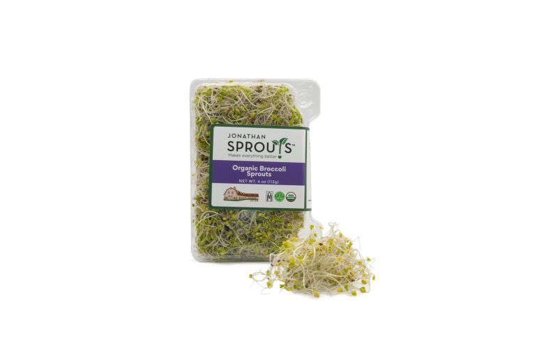 Organic Broccoli Sprouts