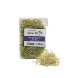 Organic Broccoli Sprouts