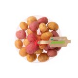 Organic Confetti Pee-Wee Creamers