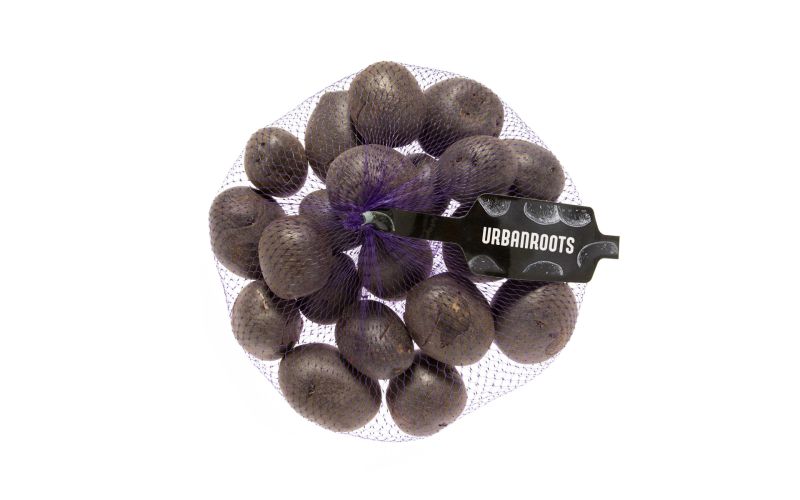 Purple Pee Wee Potatoes