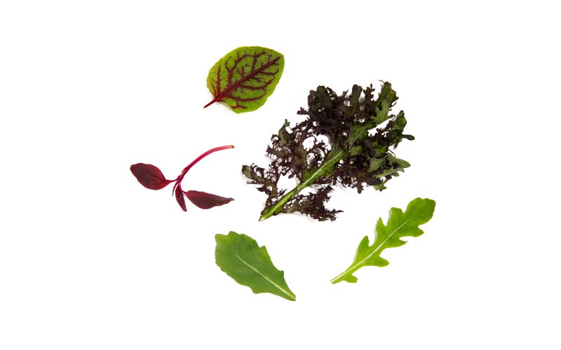 KinderGreens® Livi  KinderMix