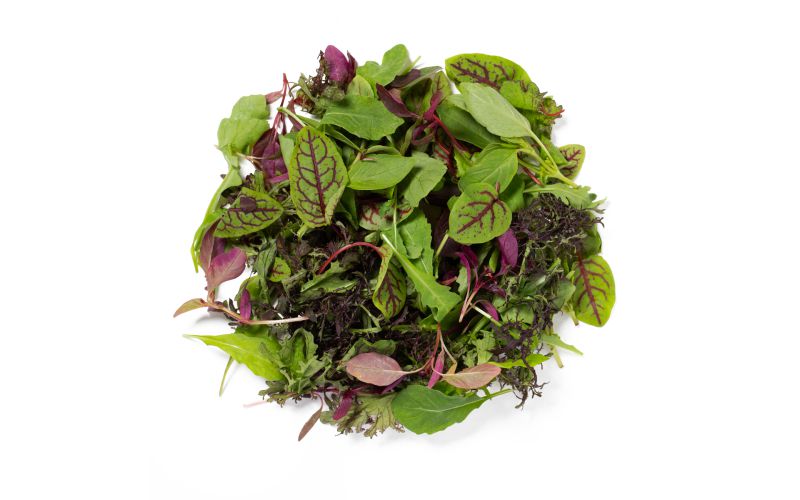 KinderGreens® Livi  KinderMix