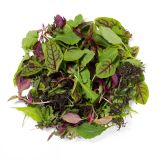 KinderGreens® Livi  KinderMix