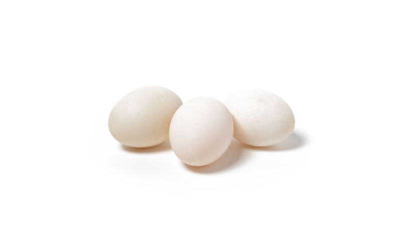 Cage-Free Duck Eggs