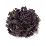 KinderGreens® Ruby Mustard