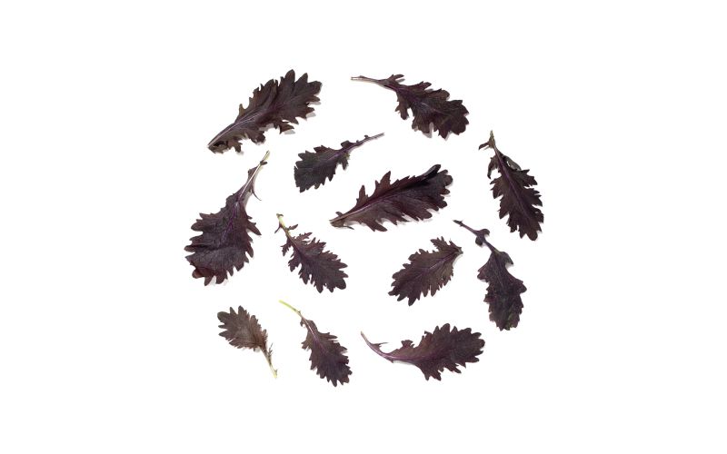 KinderGreens® Ruby Mustard