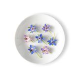 Borage Flowers