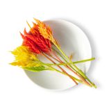 Firestix Flowers Mix