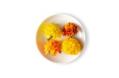 Marigold Flowers