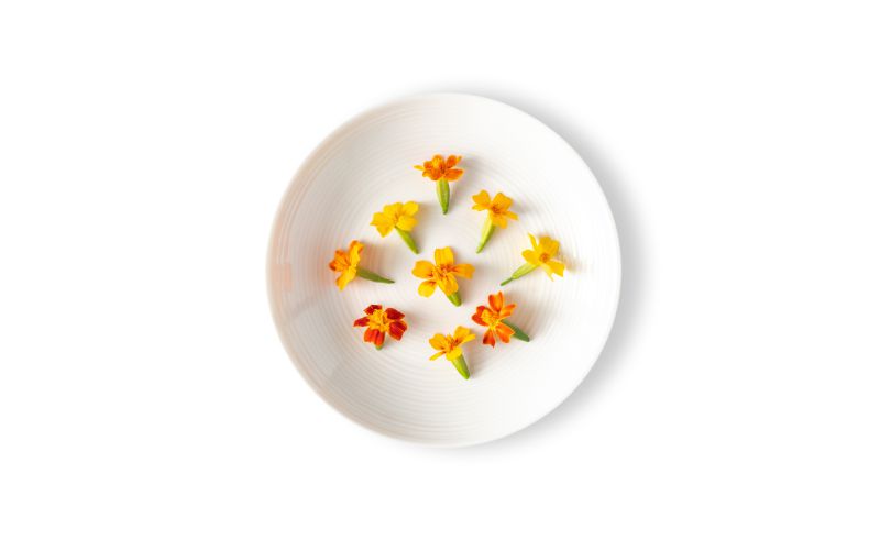 Micro Marigold Flowers