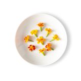 Micro Marigold Flowers