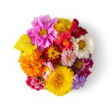 Premium Assortment Edible Flowers
