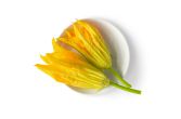 Squash Blossoms