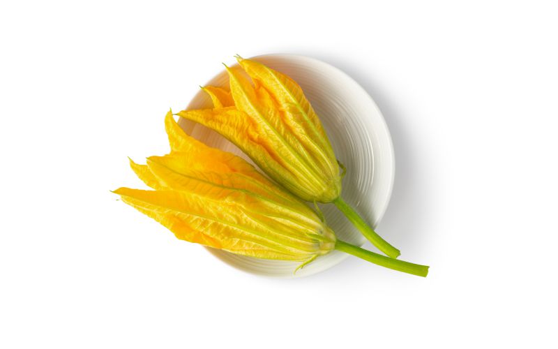 Squash Blossoms
