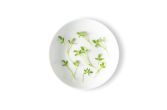 Micro Pepper Cress