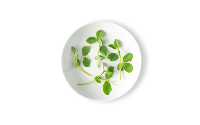 Micro Pea Greens