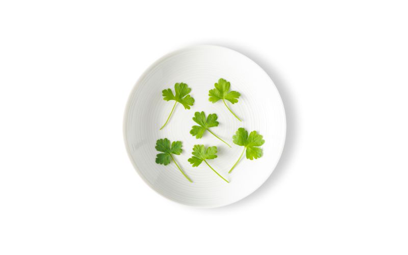 Micro Parsley