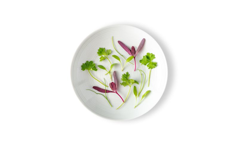 Micro Fines Herbs Mix