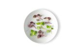 Micro Shiso Mix