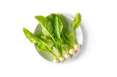 Tiny Veggies White Turnips