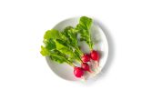 Tiny Veggies Radishes