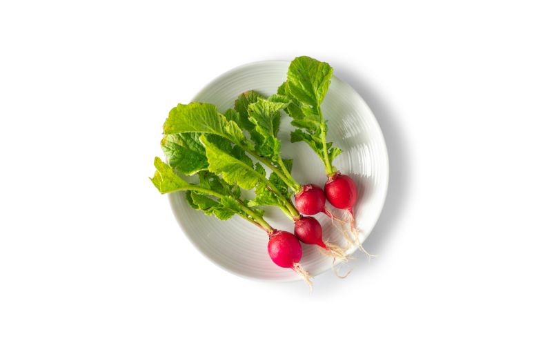 Tiny Veggies Radishes