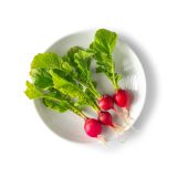 Tiny Veggies Radishes