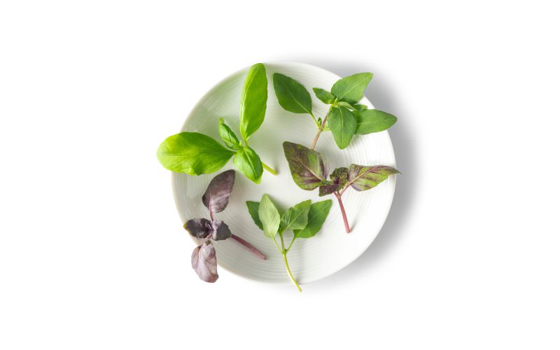 Petite Basil Mix