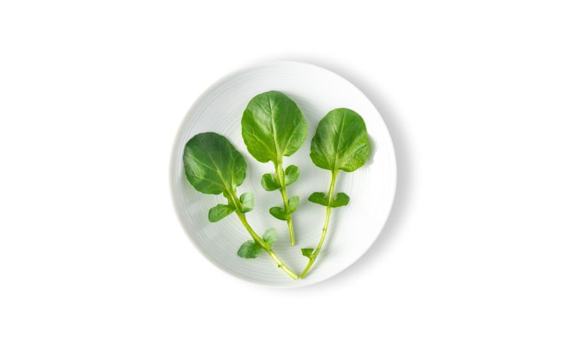 Petite Green Watercress