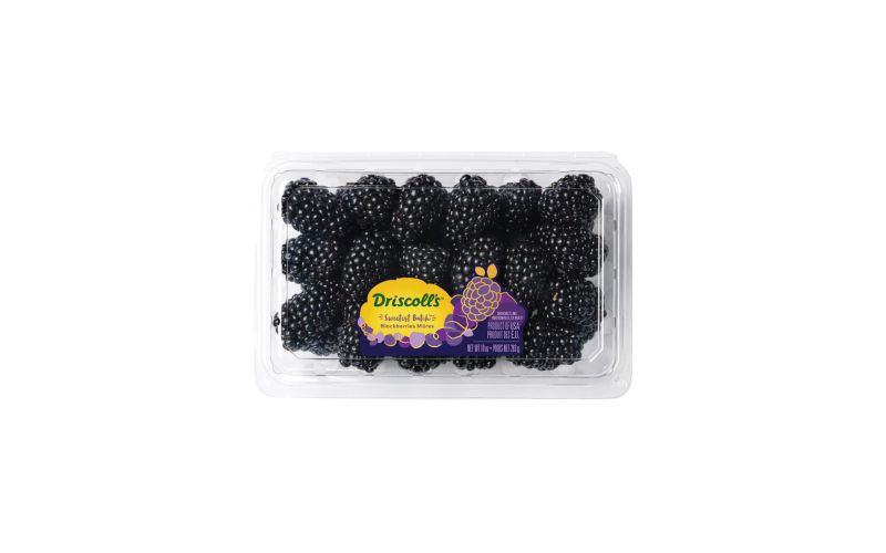 Limited Edition Sweetest Batch Blackberries