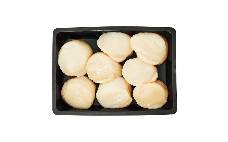 Wild Hokkaido Scallops U10