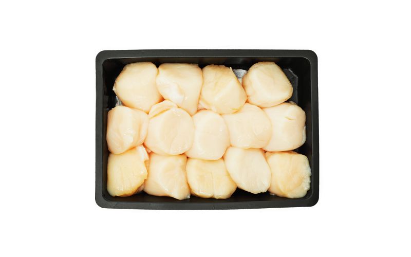 Wild Hokkaido Scallops 10/20