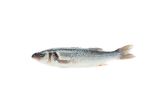 Whole Farmed Steelhead Trout