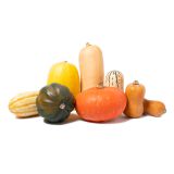 Winter Squash Mix