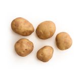 Organic Row 7 Trial Potato