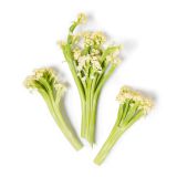Fioretto Cauliflower