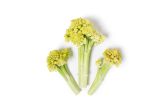 Romanetto Cauliflower
